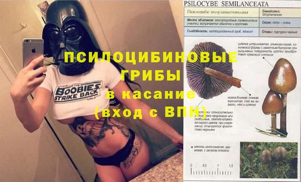 эйфоретик Верея