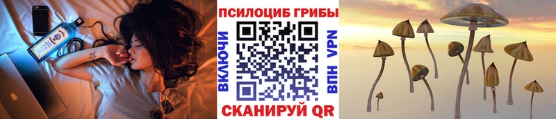 Купить где  Киренск  Псилоцибиновые грибы мицелий 