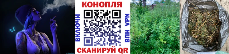 Купить закладки  Киренск  Бошки Шишки тримм 